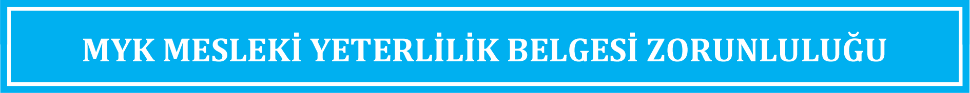 Mesleki Yeterlilik Belgesi